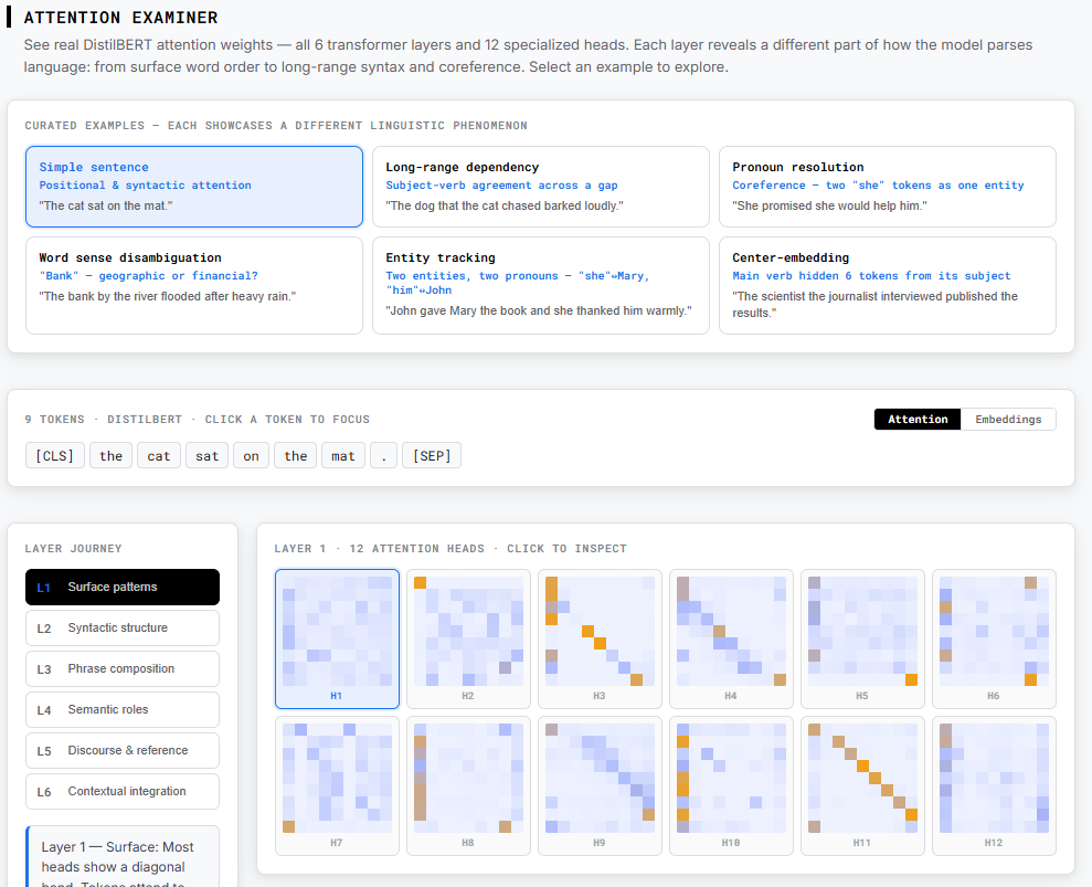 Attention Examiner — multi-layer attention and embedding similarity heatmaps